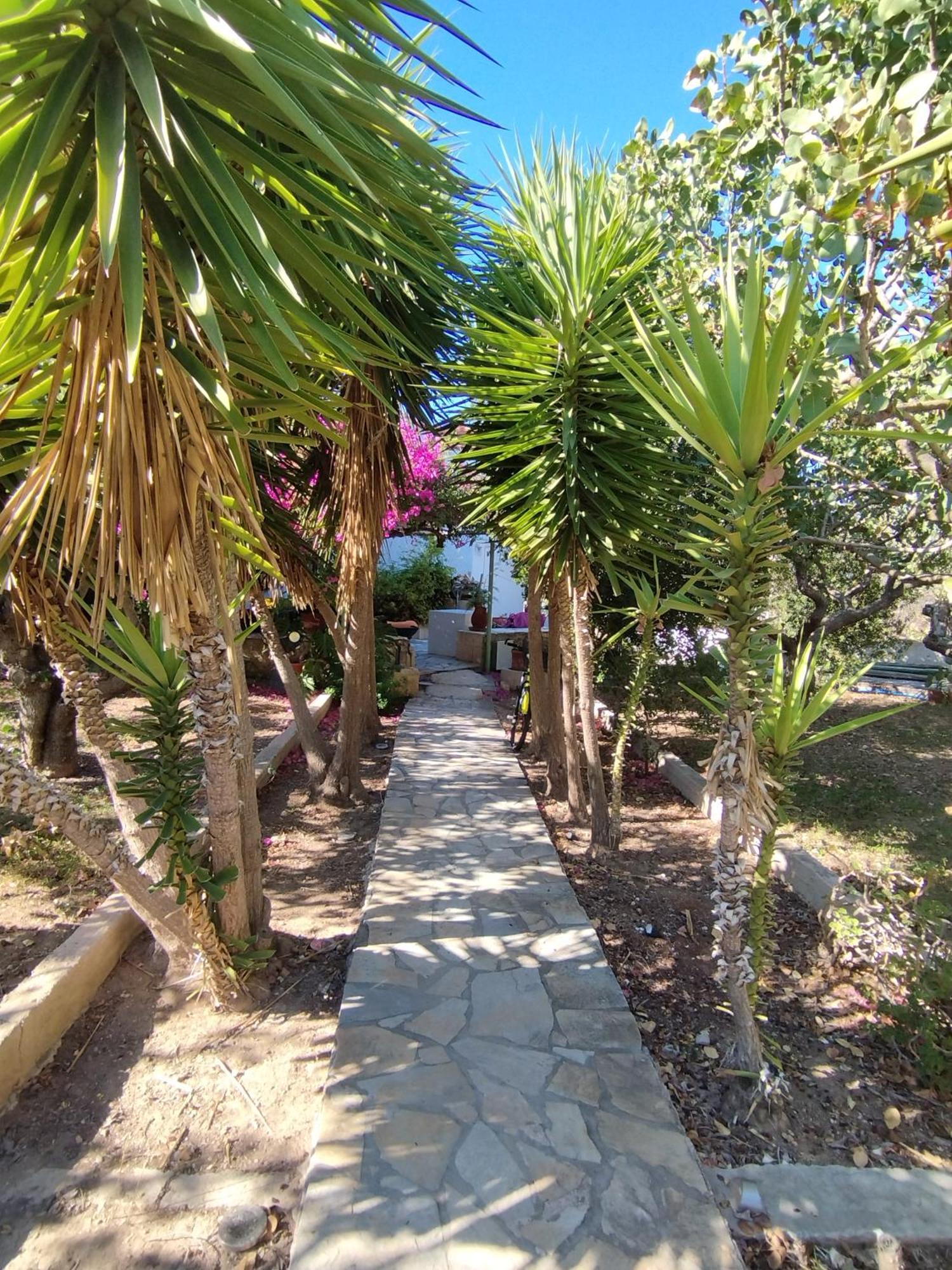 Solmar Aegina With Private Pool - Jacuzzi Apartment Khloi Luaran gambar